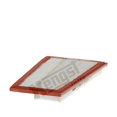 HENGST FILTER Gaisa filtrs E1030L01